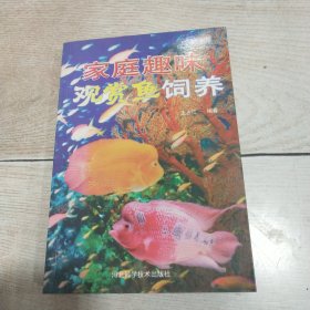 家庭趣味观赏鱼饲养