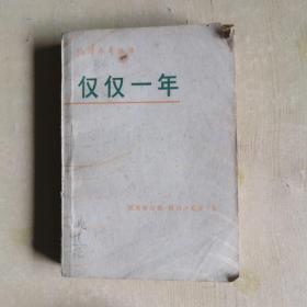 仅仅一年