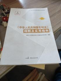 《中华人民共和国专利法》释解及实用指南