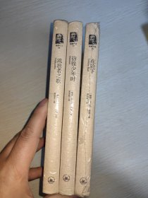 黑塞作品3本（彷徨少年时，在轮下，流浪者之歌） 正版精装塑封