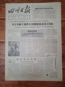 四川日报1965.6.23