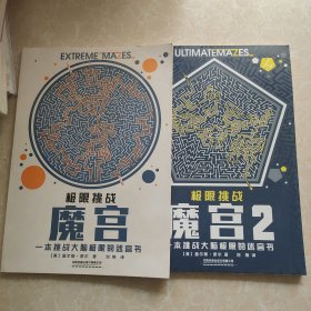 极限挑战：魔宫+魔宫2 两册合售