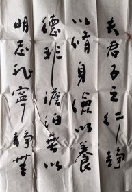 著名书法家 王振中作品（226×86cm）右下边空白处烂了点