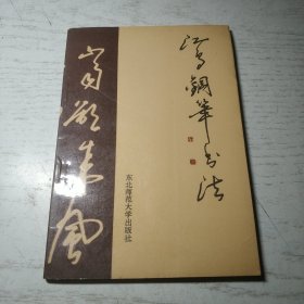 江鸟钢笔行书横写字帖