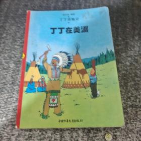 丁丁在美洲