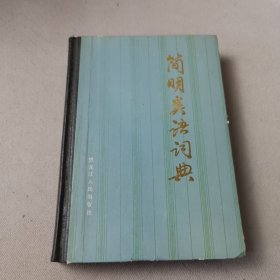 简明类语词典