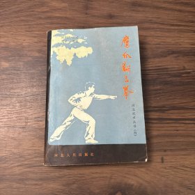 鹰爪翻子拳 河北武术丛书 （四）