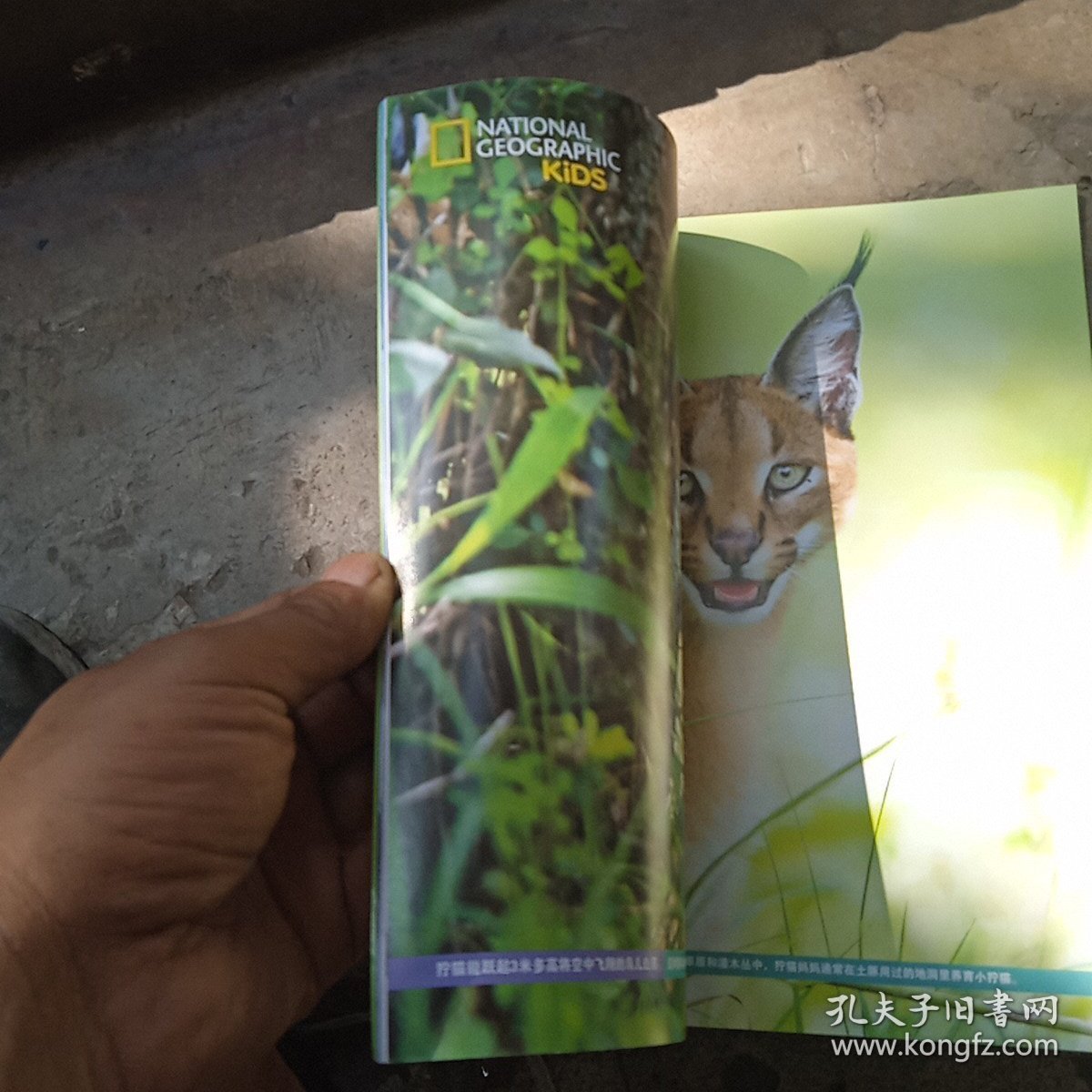 环球少年地理2022年，3