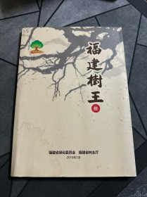 福建树王（书衣有水印）