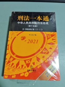 刑法一本通：中华人民共和国刑法总成（第十五版）