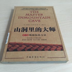 山洞里的大师：(第1卷唤醒你的力量)