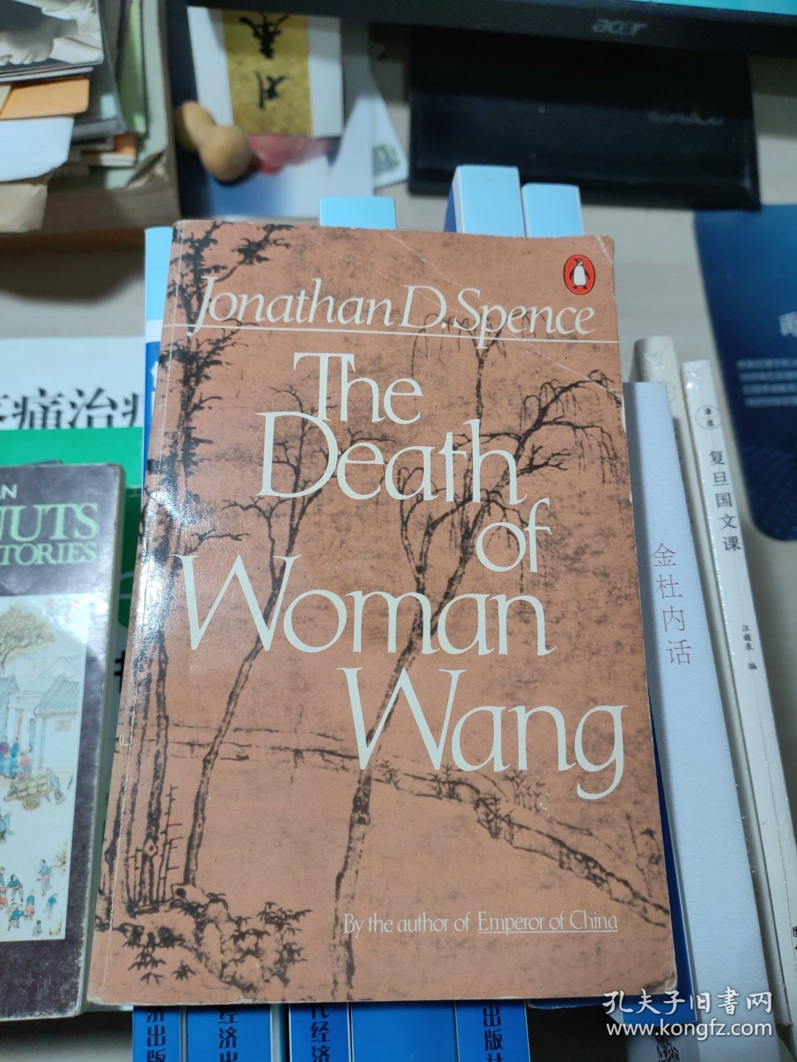 The Death of Woman Wang