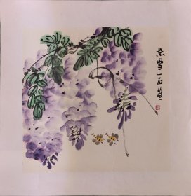 中美协会员周梅生国画作品《紫雪》尺寸34*34己托底宣纸手绘拖片，保真