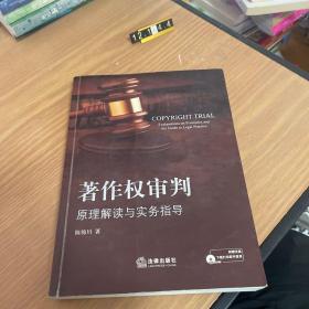 著作权审判：原理解读与实务指导