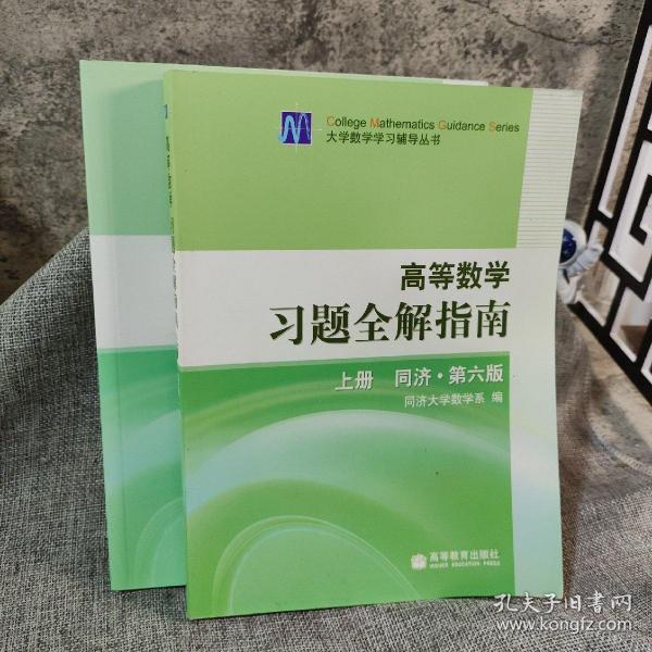 高等数学习题全解指南 上册：同济·第六版