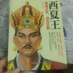 西夏王：英雄之生，当为王霸