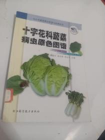 十字花科蔬菜病虫原色图谱