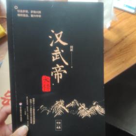 汉武帝大传（世途多艰，多难兴邦。犯我强汉，虽远必诛。著名学者何新讲汉武帝的雄霸之道与治国方略）