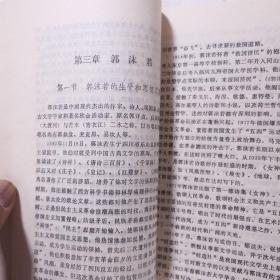 二十世纪中国两岸文学史