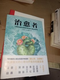 治愈者：心理咨询师与精神科医生的心理治愈笔记