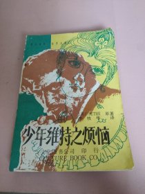 少年维特之烦恼