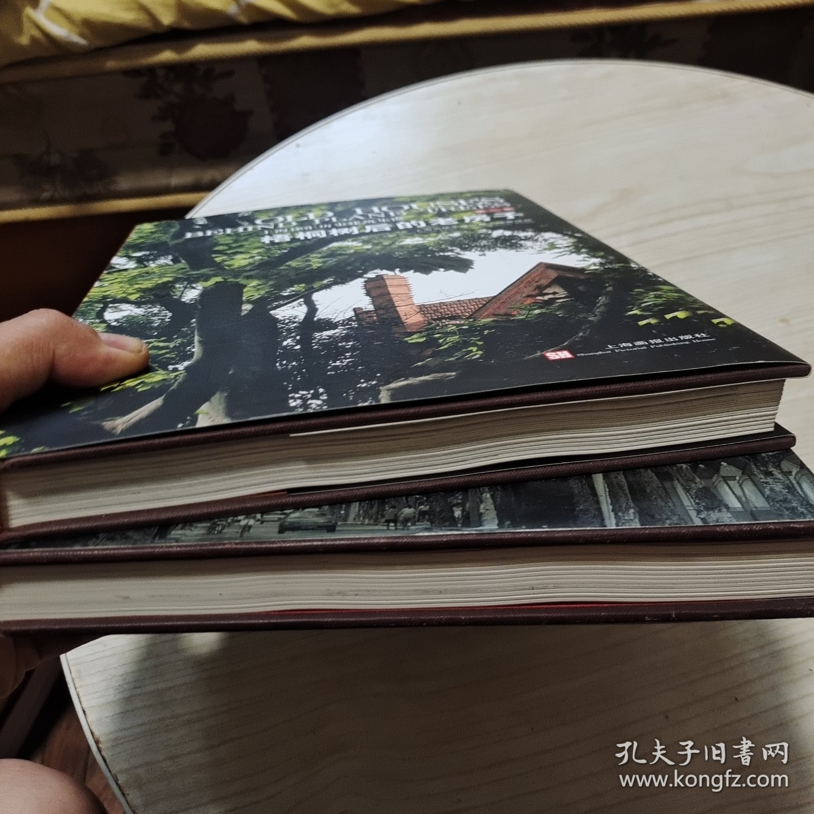 梧桐树后的老房子(1、2册合售)：上海徐汇历史建筑集锦