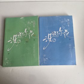 没送你花(全2册) 情感小说