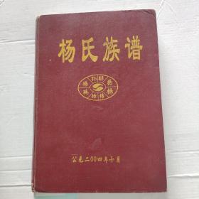 杨氏族谱（杨氏宗谱家谱，弘农杨氏，入黔始祖尚先文玉公清雍正由江西经商来黔居威宁东关，后世居毕节各县乡，云南四川等地）