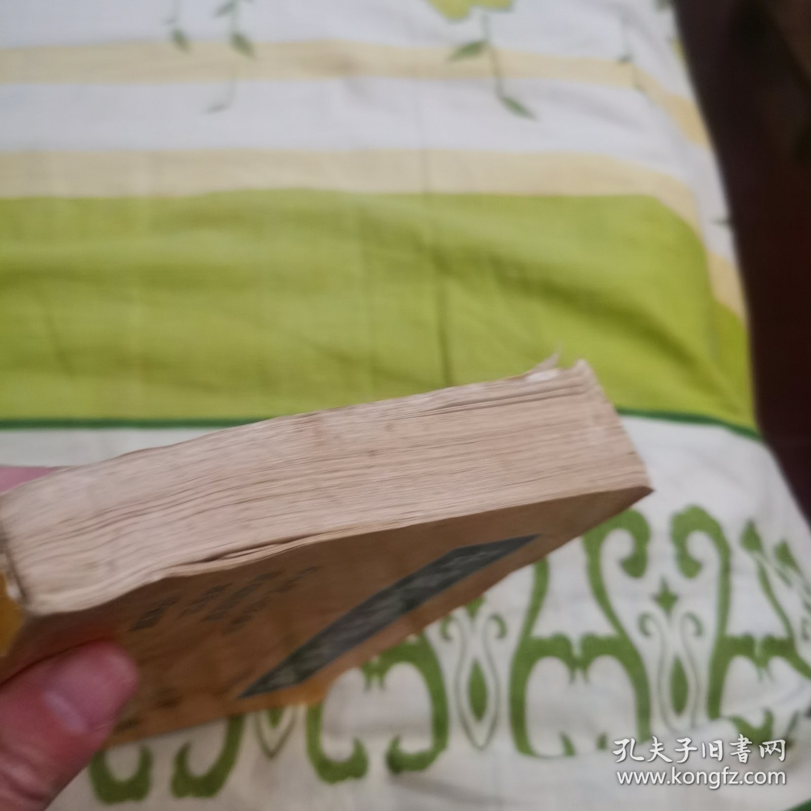 中国气功四大经典讲解