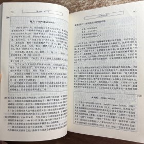 欧洲史（下）