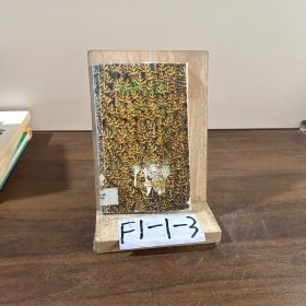 战时之恋