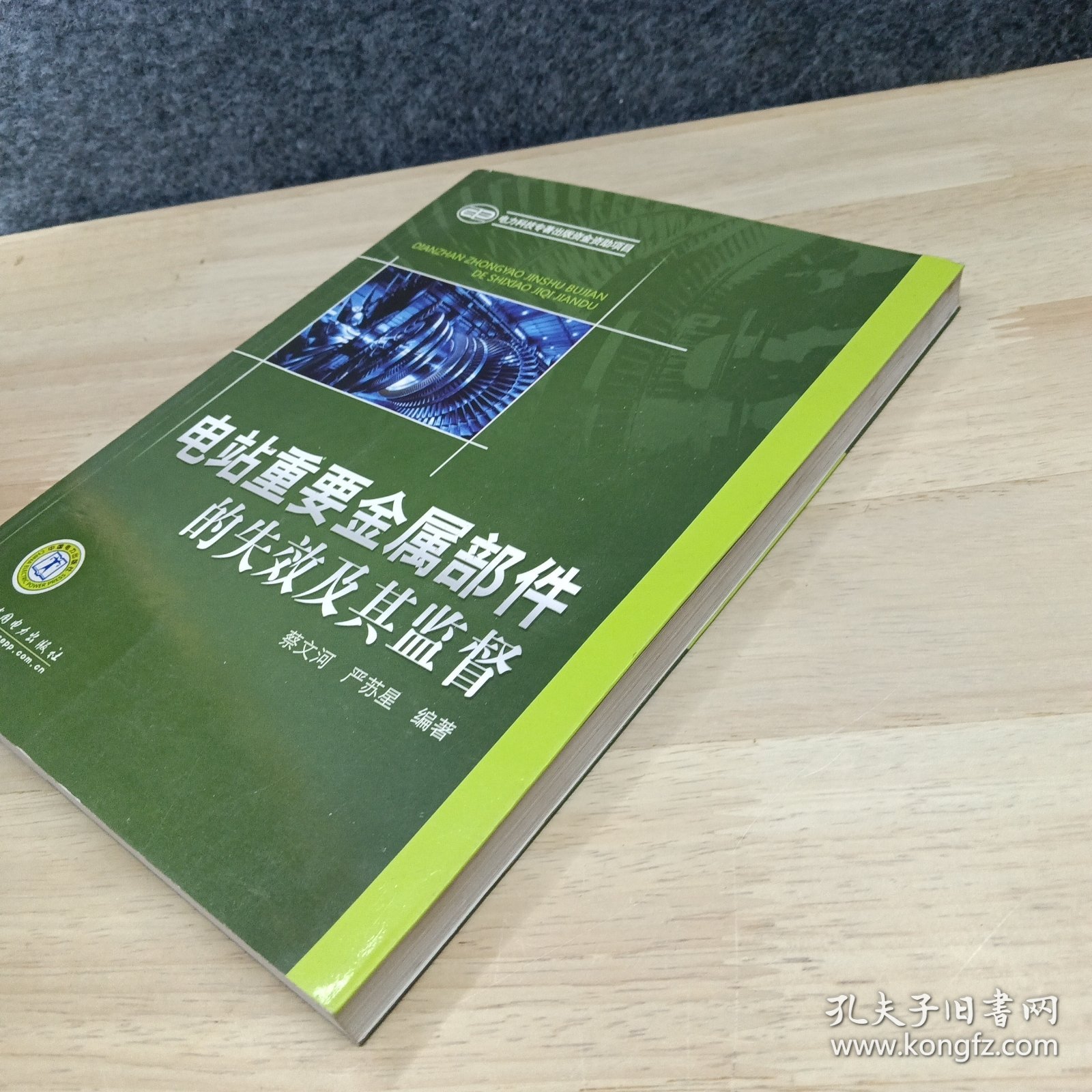 电站重要金属部件的失效及其监督