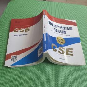 注册安全工程师2020安全生产法律法规习题集（2020版）应急管理出版社