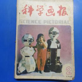 科学画报合订本   1985   1-12   170411