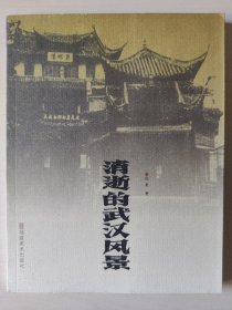 消逝的武汉风景