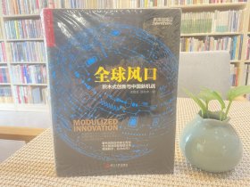 全球风口：积木式创新与中国新机遇