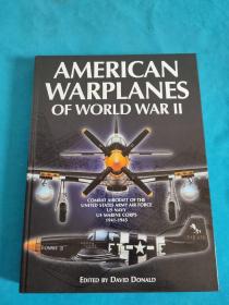 American Warplanes of World War 2-二战时期的美国战机