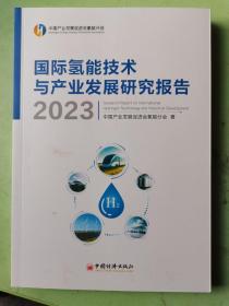 国际氢能技术与产业发展研究报告2023