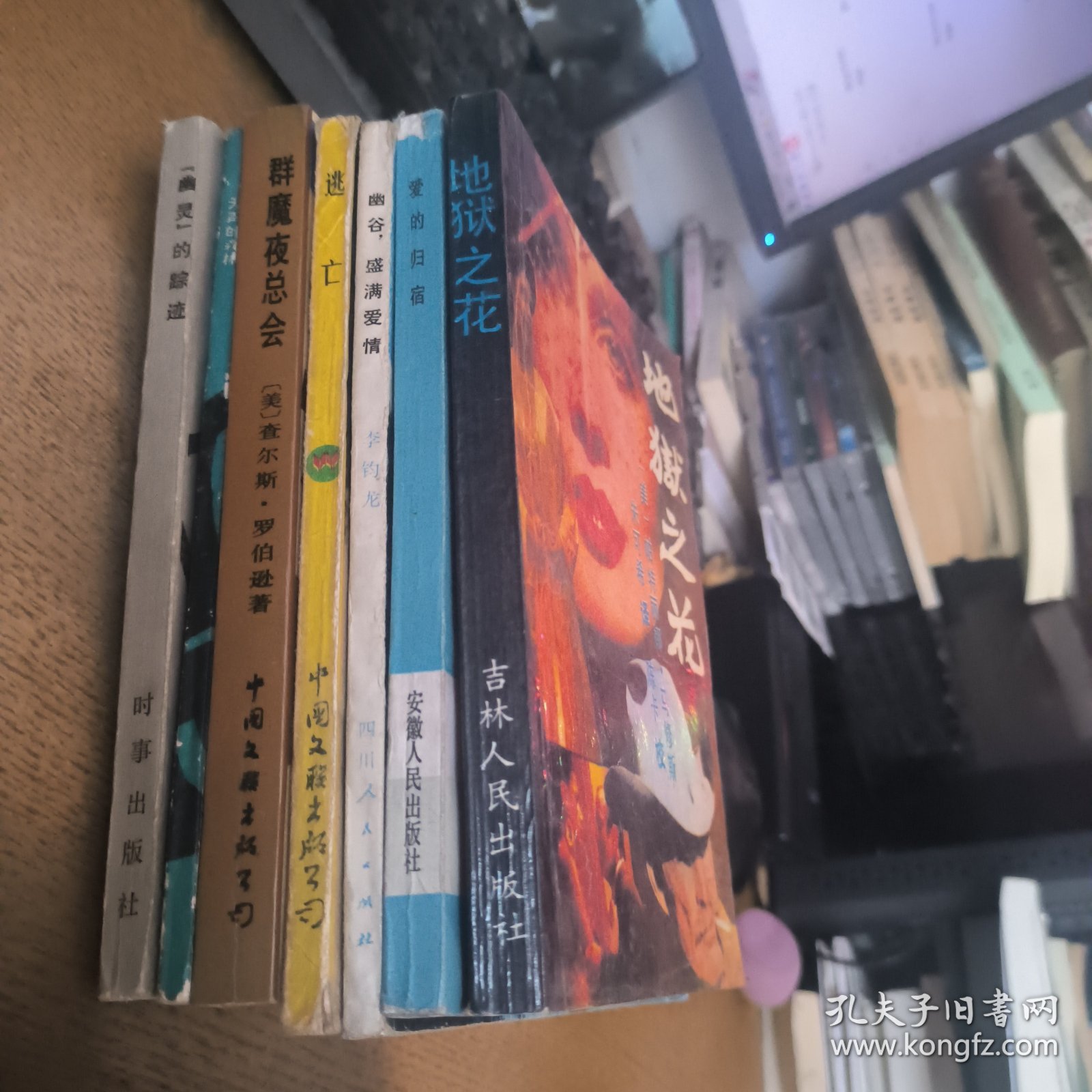 地狱之花 爱的归宿 幽谷盛满爱情 逃亡 群魔夜总会 无声的森林 幽灵的踪迹七本合售