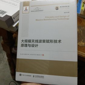 国之重器出版工程 大规模天线波束赋形技术原理与设计