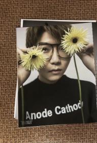 毛不易 彩页 切页 专访报道 6张12面