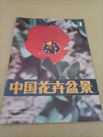 中国花卉盆景1985 3