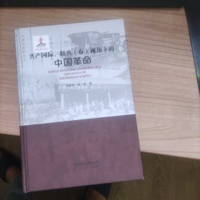 共产国际、联共（布）视角下的中国革命