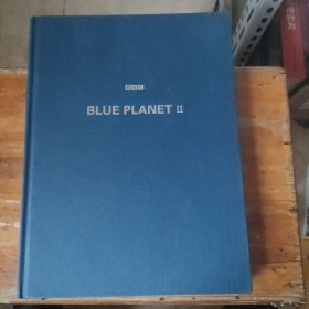 BBC全新4K海洋百科：蓝色星球II