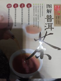 图解普洱茶