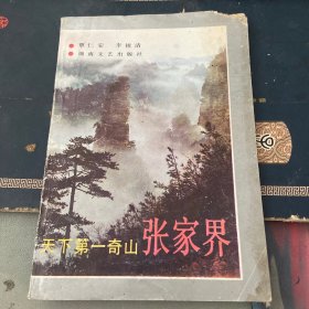 天下第一奇山张家界