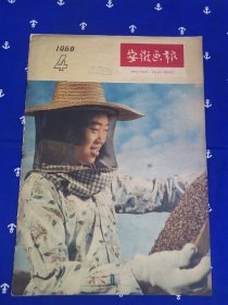 安徽画报（1960年4）