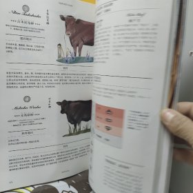 食帖04：肉！肉！肉！