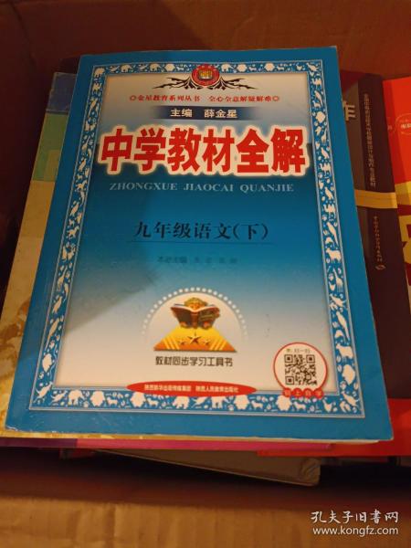 中学教材全解 九年级语文下 人教版 2017春