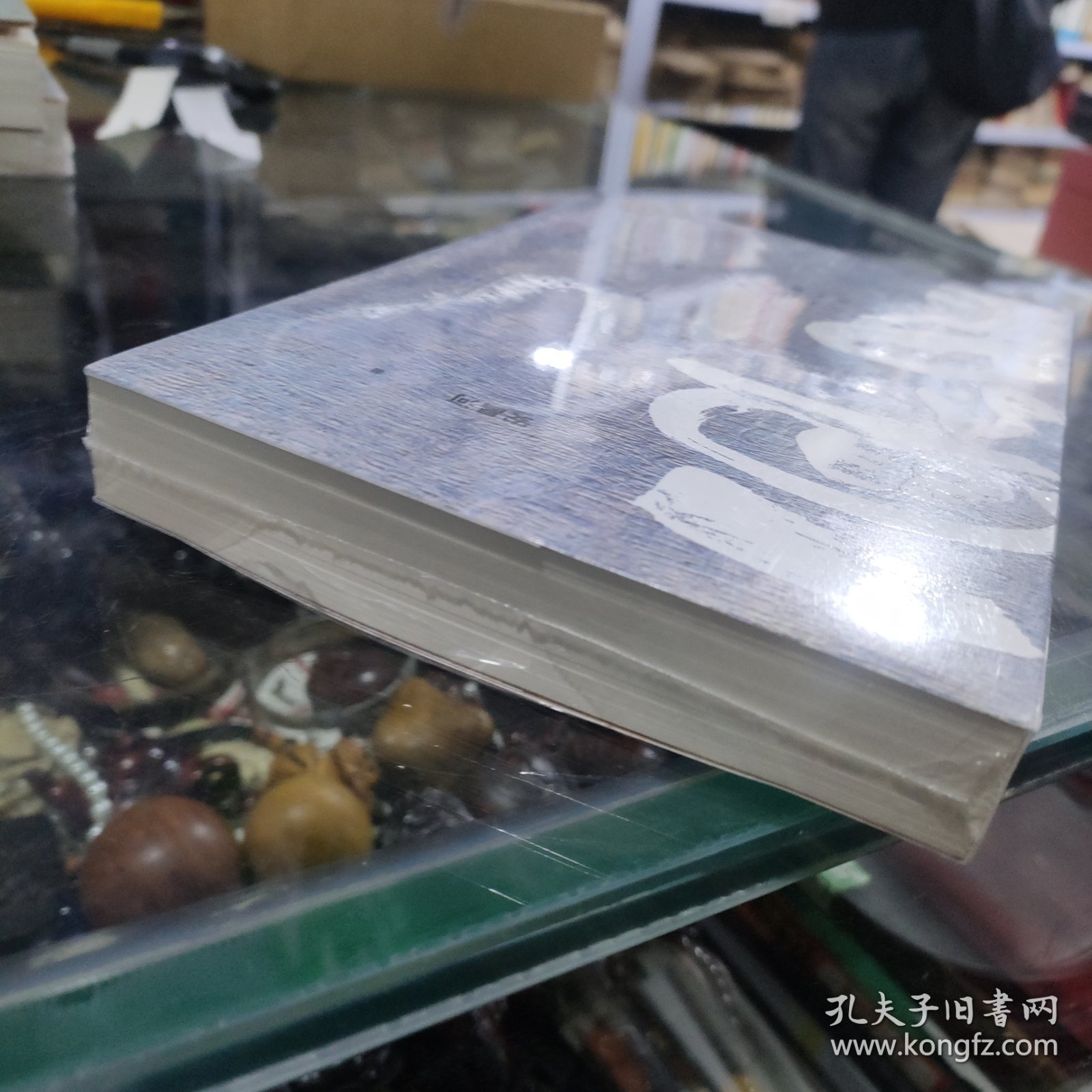 血与骨 安昌河 著